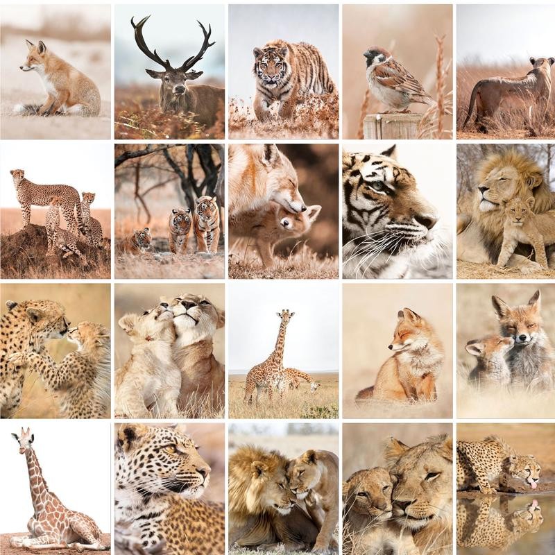 

GATYZTORY Acrylic Painting By Numbers Animals Lion Fox Tiger Elk Drawing By Numbers Wall Art Adults Crafts Diy Gift Picture Colo