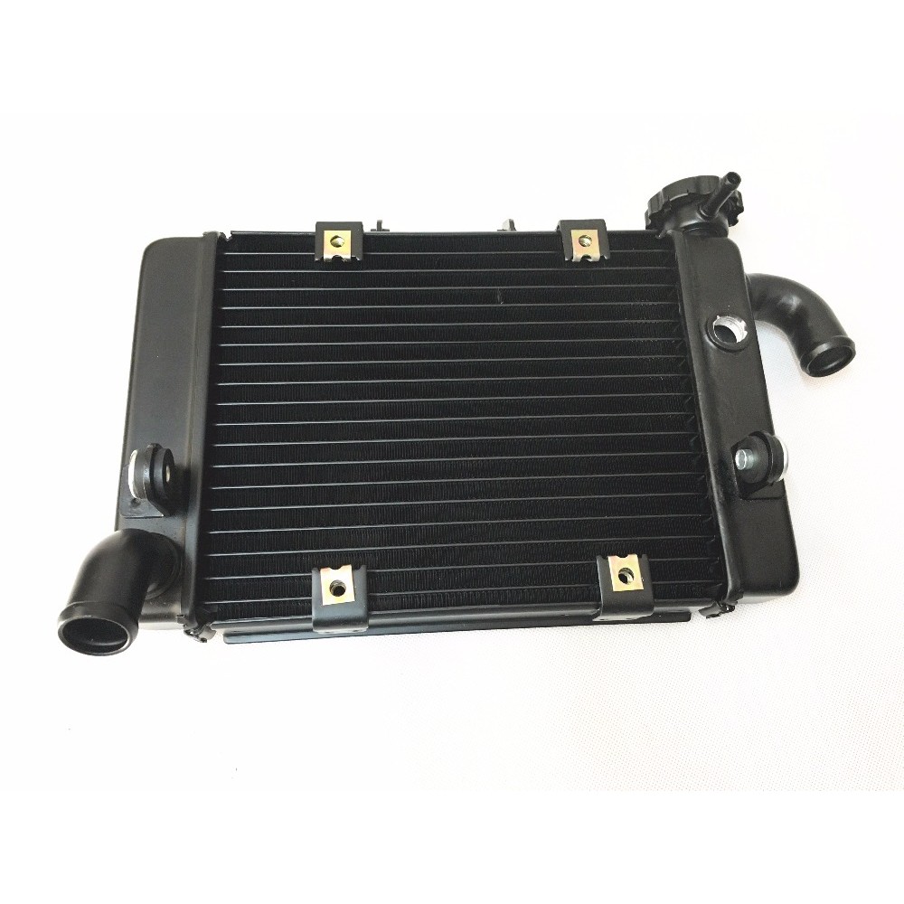 Radiator for Benelli BJ300 BN302 TORNADO TNT300 STELS 300 / BN TNT 300 302