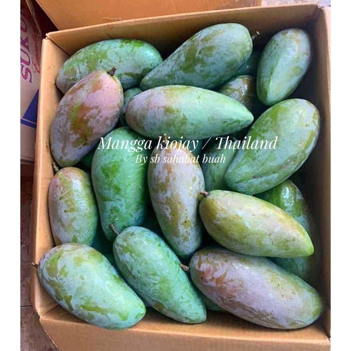 

BUAH MANGGA KIOJAY / MANGGA THAILAND GROSIR 3KG UDBUAH 3 SAUDARA