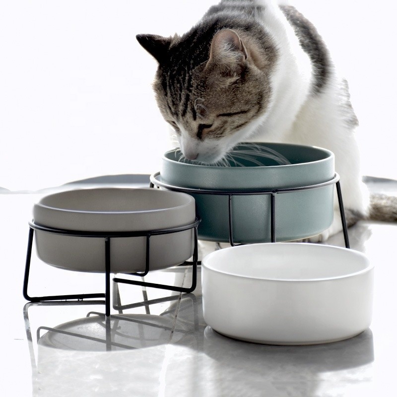 Custom Pet Bowl Biodegradable Cat And Dog Pet Ceramic Bowl Food Bowl Feeder Drinking Water With Stai