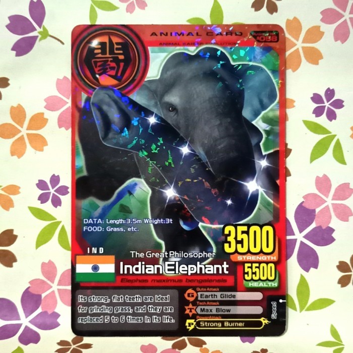 Animal kaiser normal indian elephant evo 2