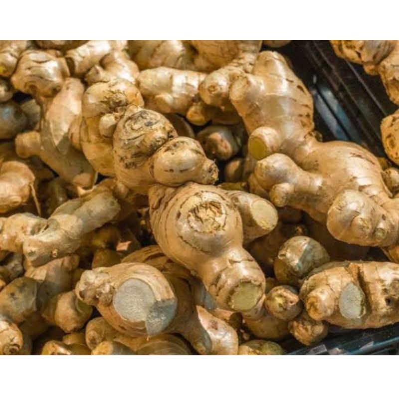 

jahe 250gr