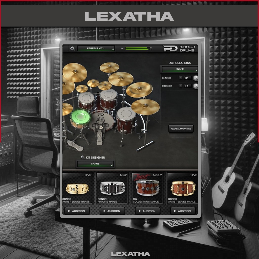 Naughty Seal Perfect Drum