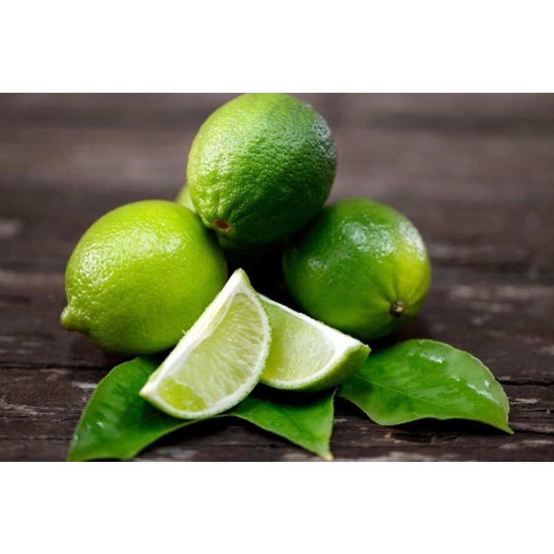 

Jeruk Nipis segar 1Kg