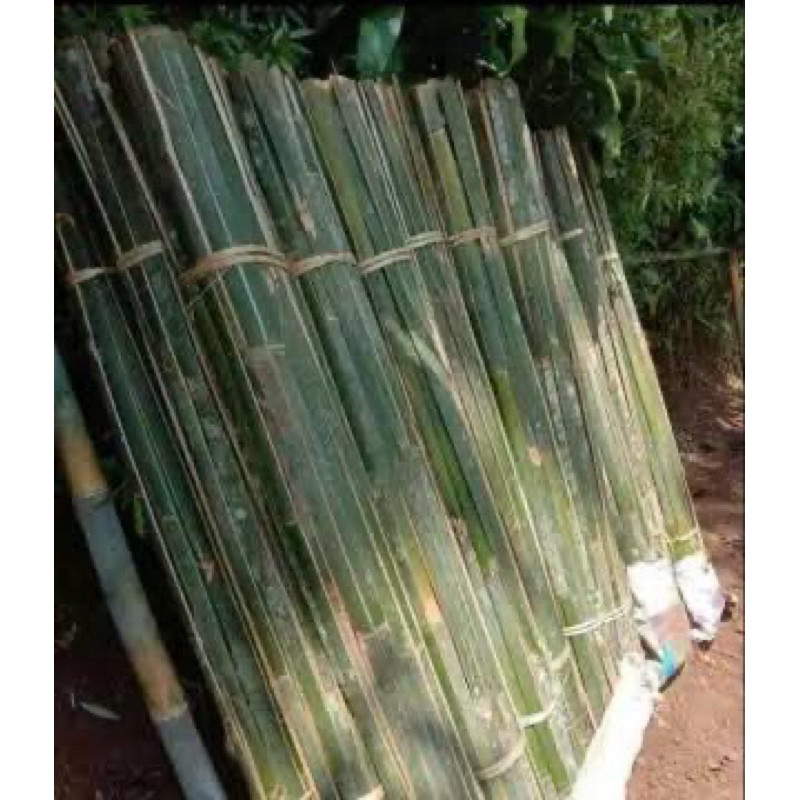 

10 Ajir Bambu Panjang 2 Meter lebar 2cm