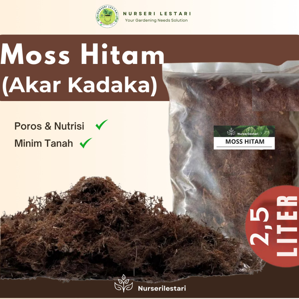 Akar Kadaka (Moss Hitam) Media Tanam Tanaman Hias Anggrek Platycerium / Campuran Media Tanam Aroid