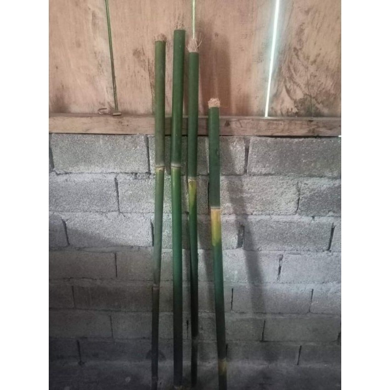 

obor bambu 4 pcs obor pawai malam