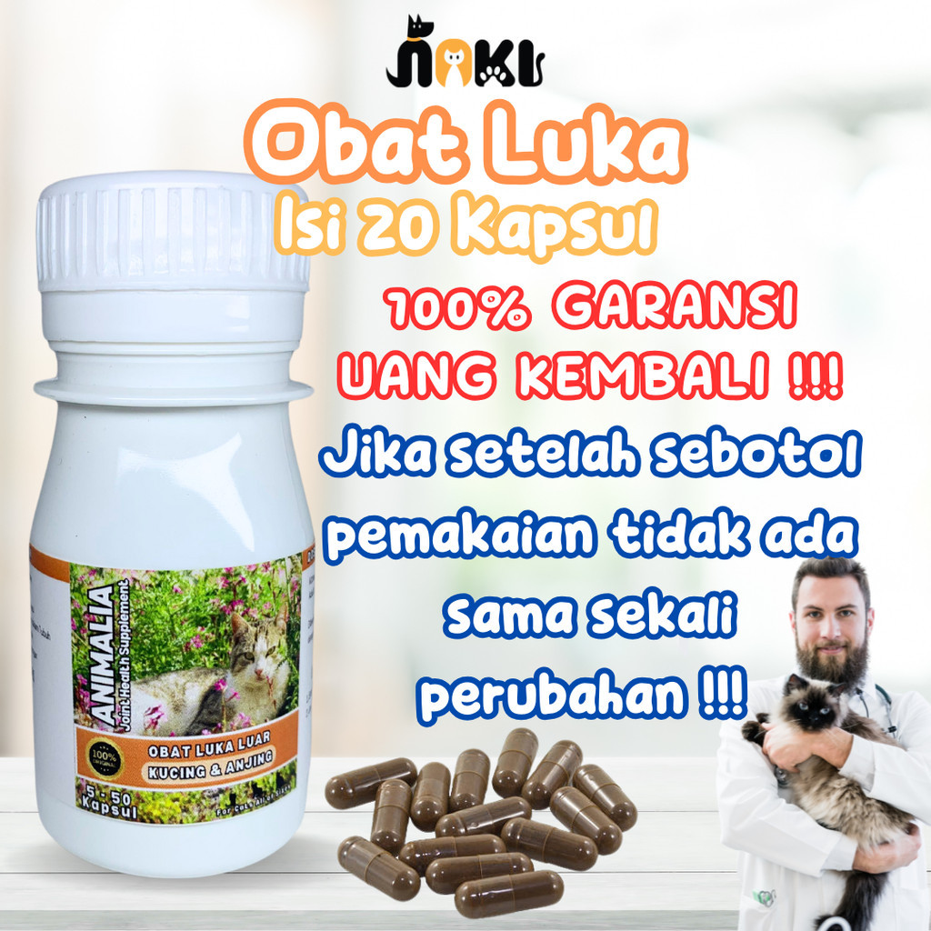 OBAT LUKA KUCING EKSTRAK IKAN GABUS  SUPLEMEN PENYEMBUH LUKA KUCING TERBUKA BASAH BERANTEM BERNANAH 