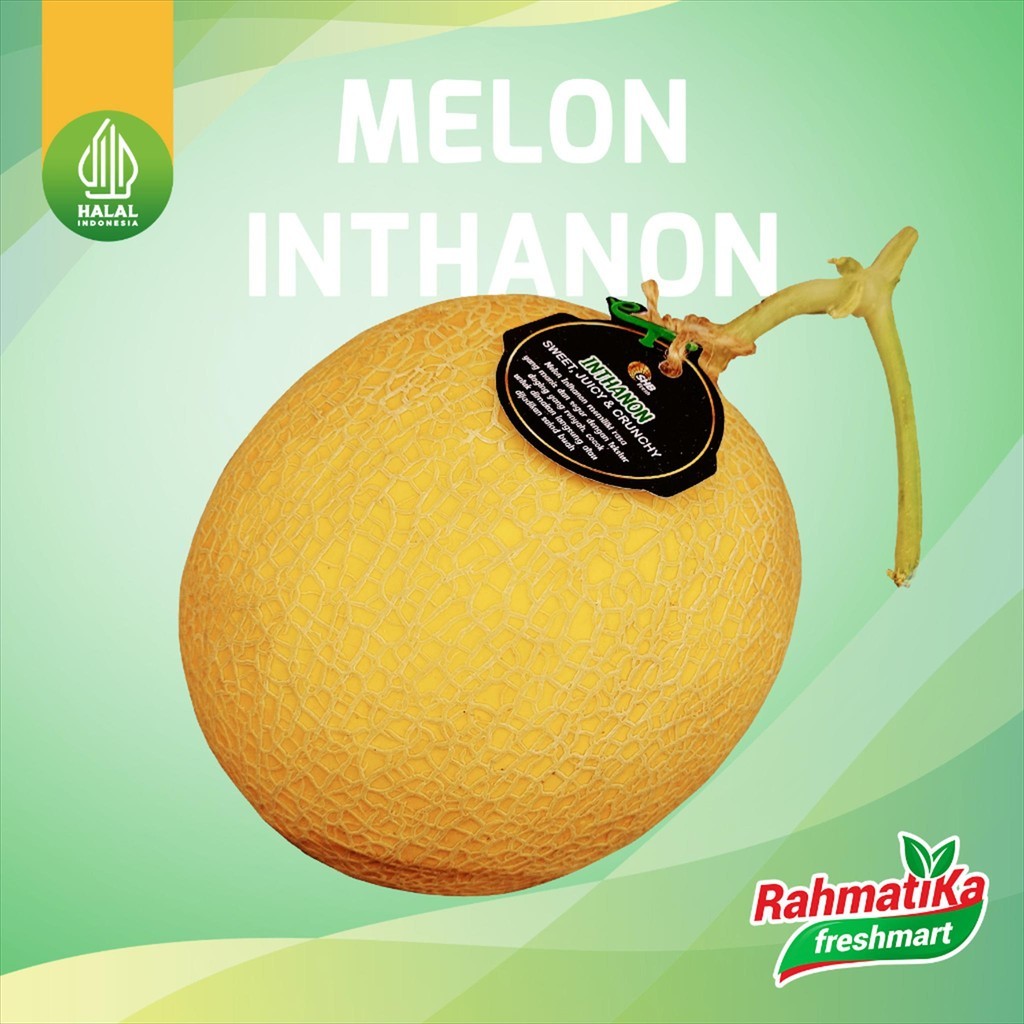 

Melon Inthanon 1 Buah