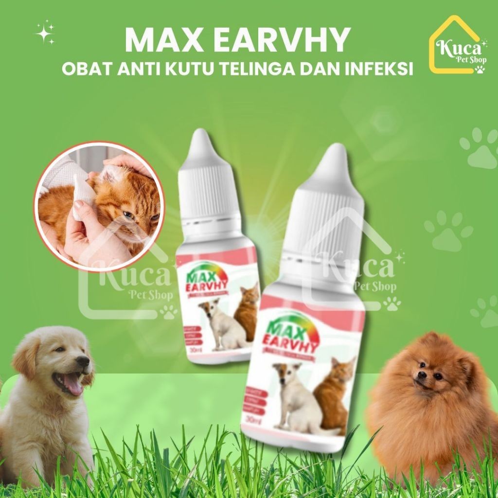 Obat Kutu Telinga MAX EARVHY Obat Tetes Telinga Kotor Hewan Obat Tetes Kuping Kucing Max Earvhy