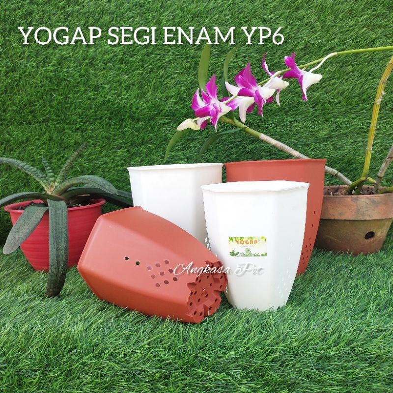 (1pc) YOGAP SEGI ENAM YP6 : Pot bunga pot tinggi segi enam pot cantik tebal
