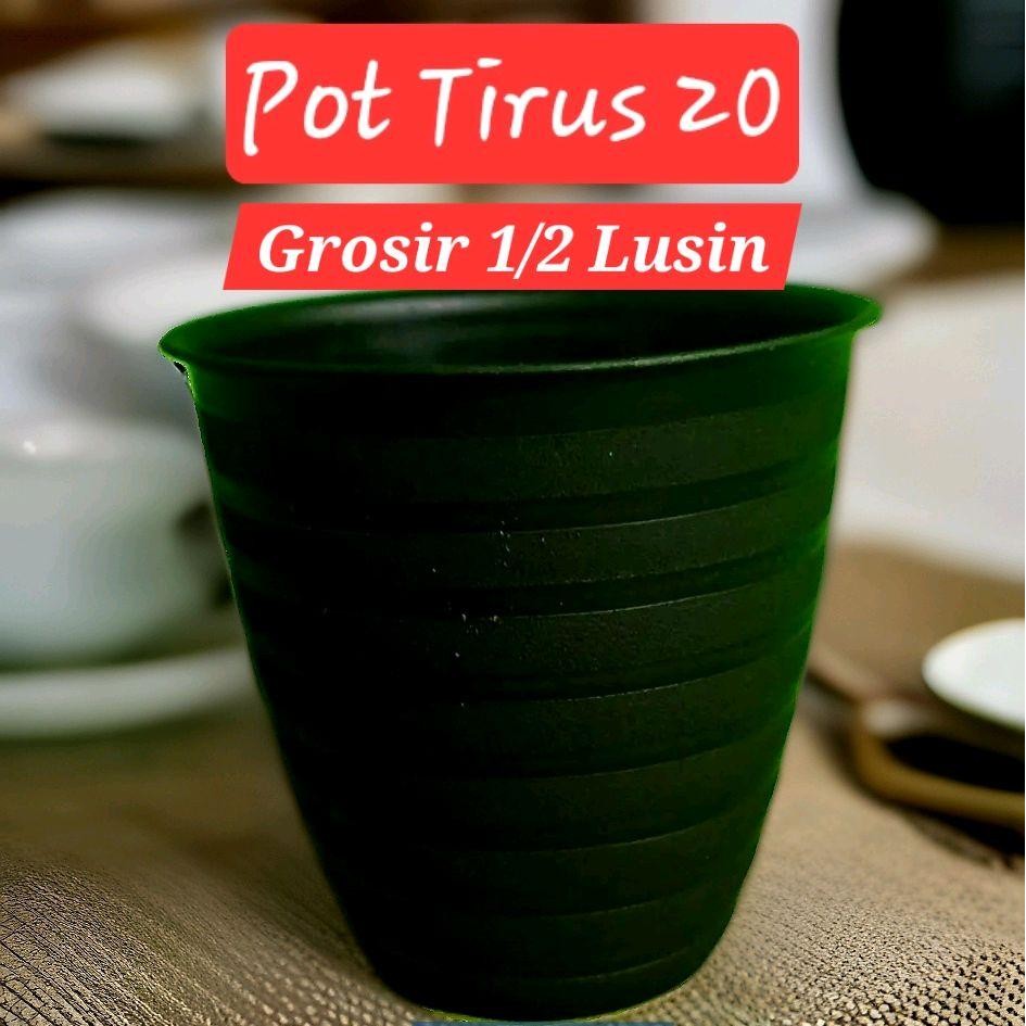 GROSIR 1/2 LUSIN Pot Tirus 20 / Pot Tanaman / Pot Bunga / Pot Bunga Plastik / Pot Bunga Murah / Pot 