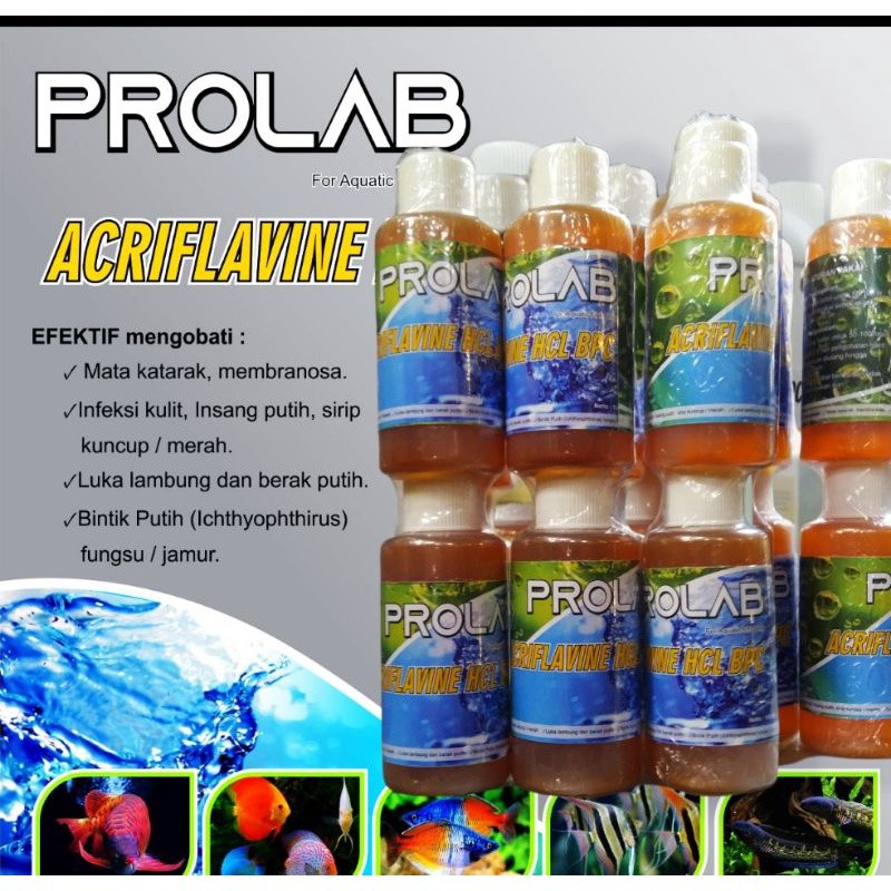 acryflavine 100ml BOTOL KECIL original,acriflavine hcl,hcl,obat ikan,acriflavine obat ikan acriflavi