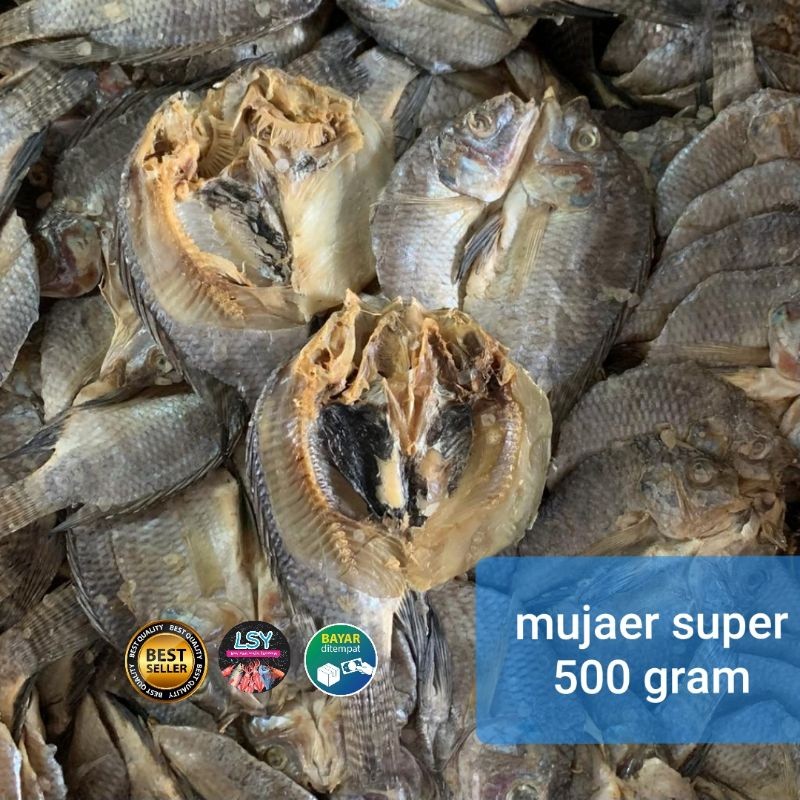 

ikan asin mujaer super 500 gram