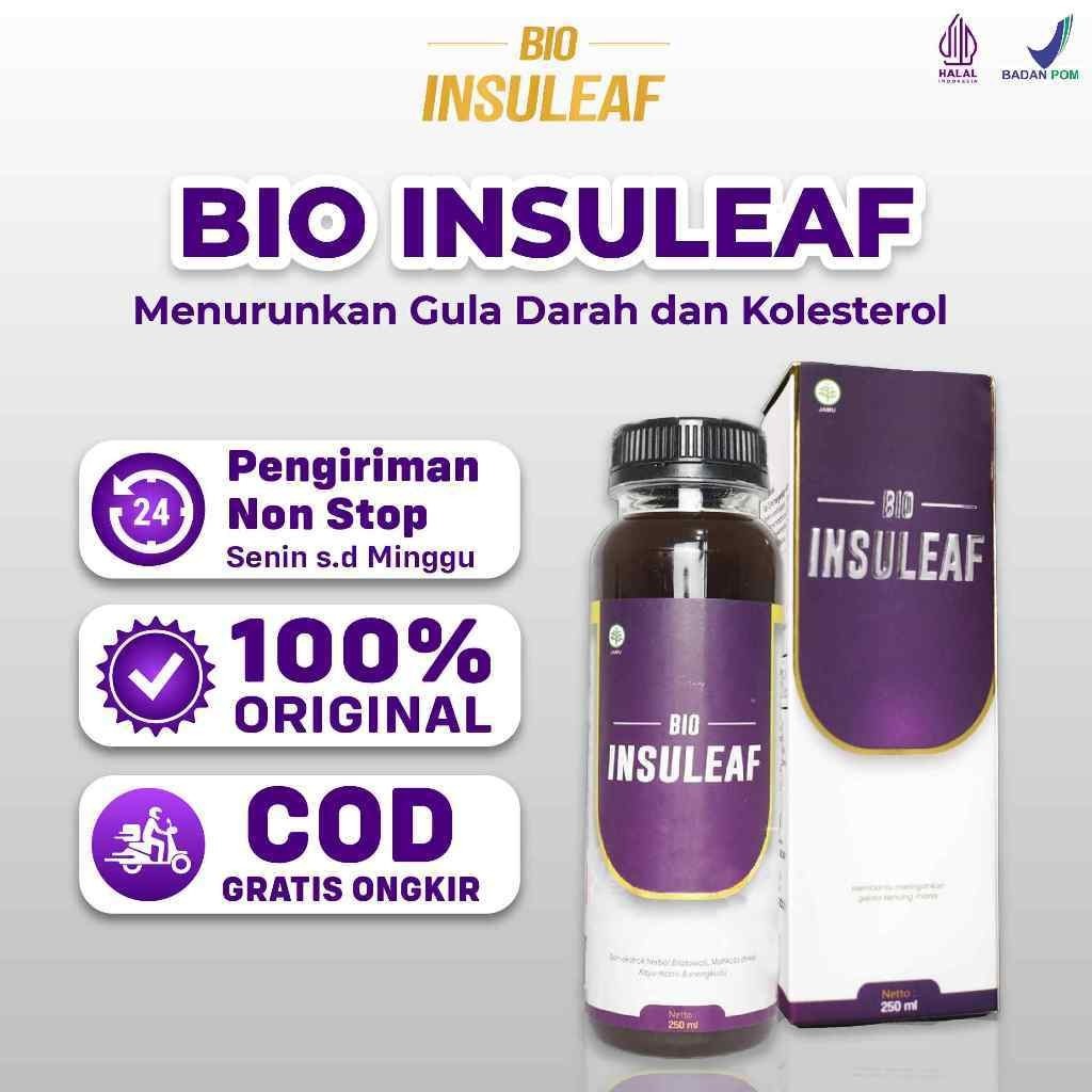 

Bio Insuleaf Original Herbal Alami 250 ml Atasi Kencing Manis dan Diabetes