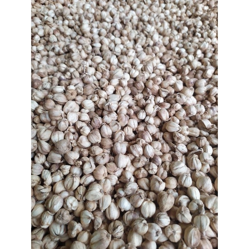 

Kapulaga Cucian 1kg Jawa organik non pemutih