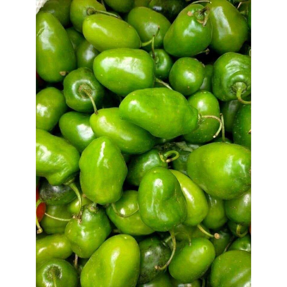 

PROMO DISKON GILA Cabe Gendot Segar 1kg / Cabe Gendot Fress