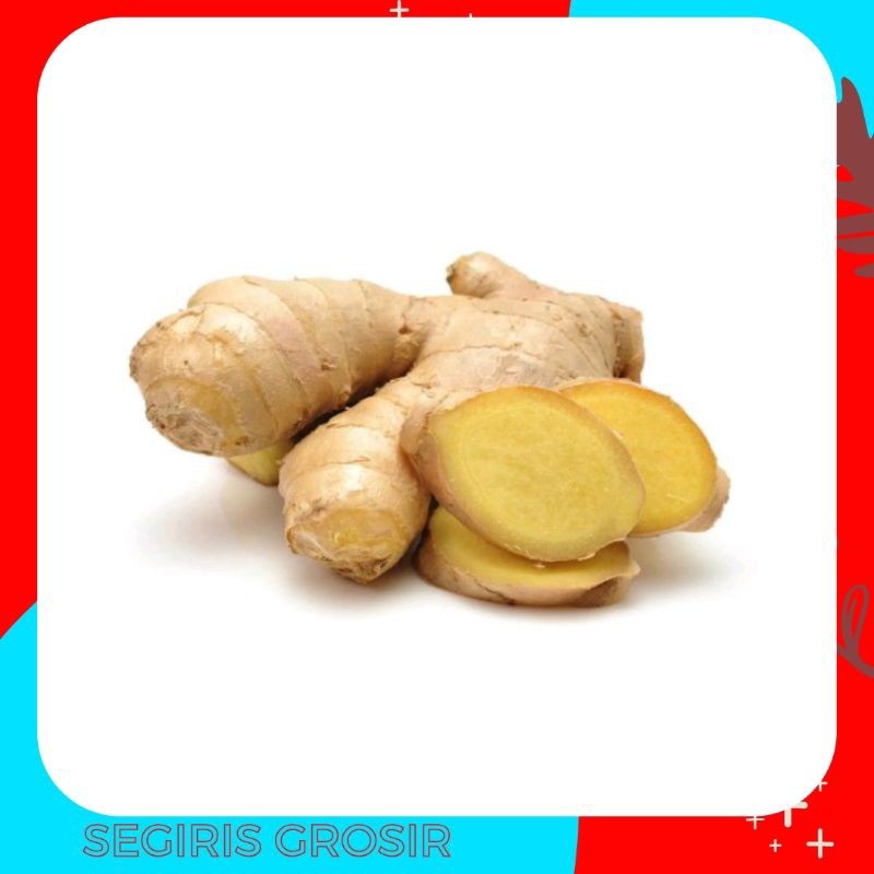 

Jahe Rempah Herbal Segar 1 Kg