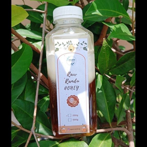 

Classica2106 Organic Bandung Randu Raw Honey Multiflora Raw Honey Madu Murni Madu Randu Madu