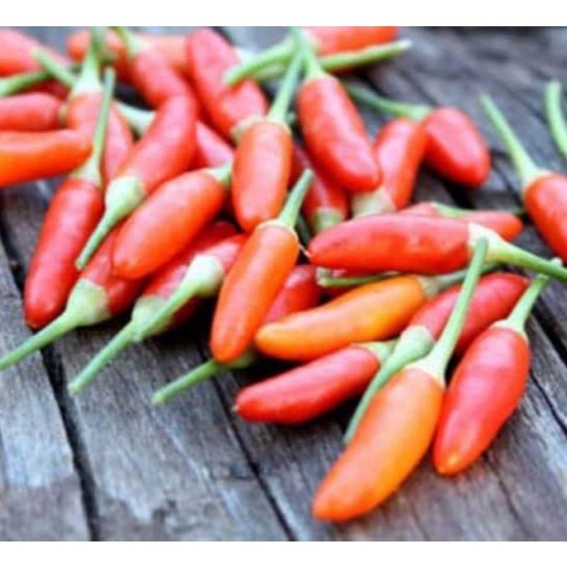 

cabe rawit merah 100 gram BRKAH