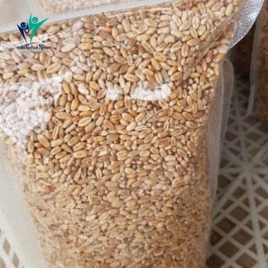 

Biji gandum utuh 1kg whole wheat food grade