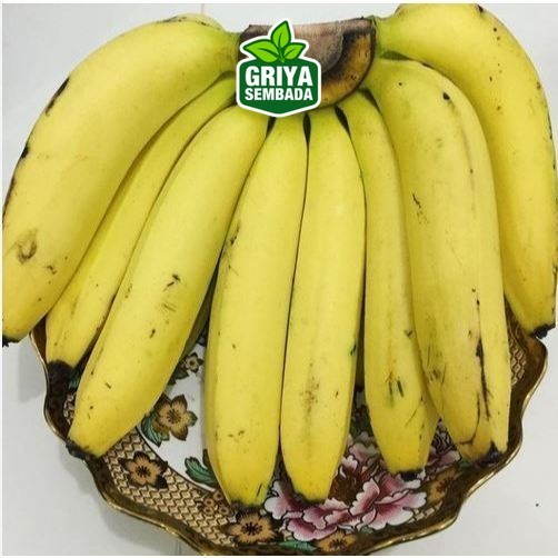 

Instant Buah Pisang Ambon 1kg Segar Dan Besar Griya Sembada