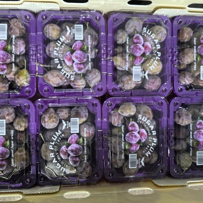 

buah plum segar import 1box