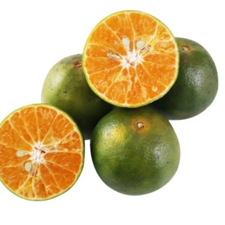 

Jeruk Peras 950 g - 1 Kg