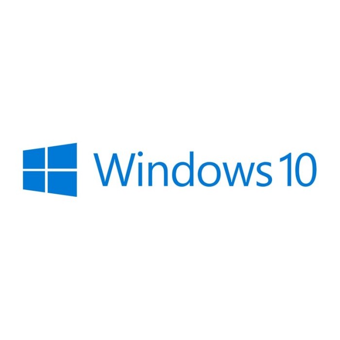 Windows 10 11 Pro COA Lisensi - Win 10 Pro