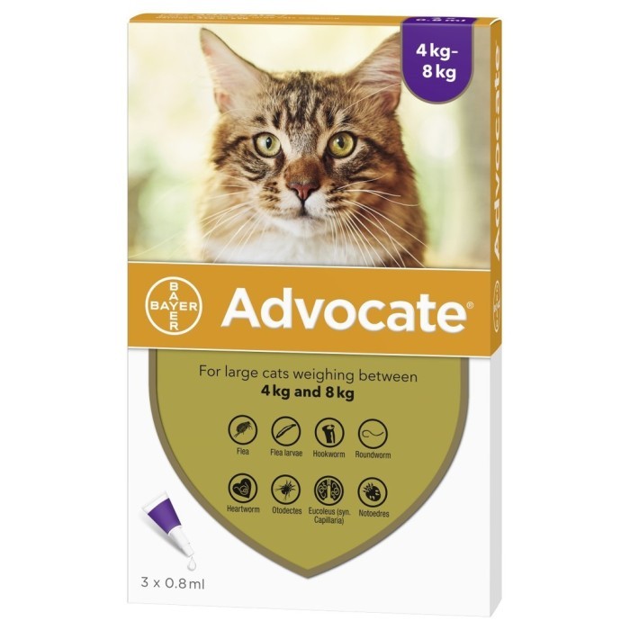 Advocate Cat Large 0,8 ml