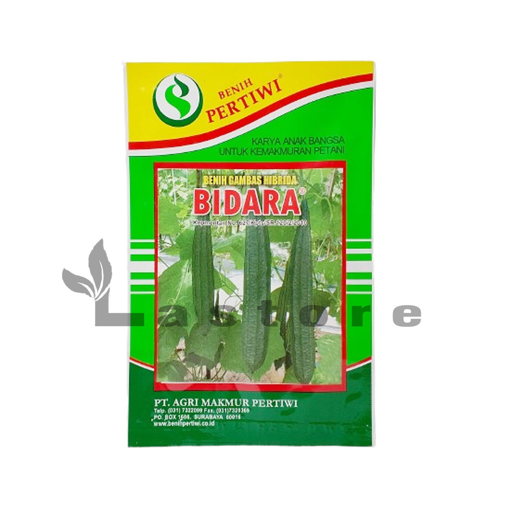 Benih Oyong Gambas Bidara F1 Isi 10 Gram Cap Benih Pertiwi