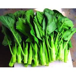 

Kailan 1kg