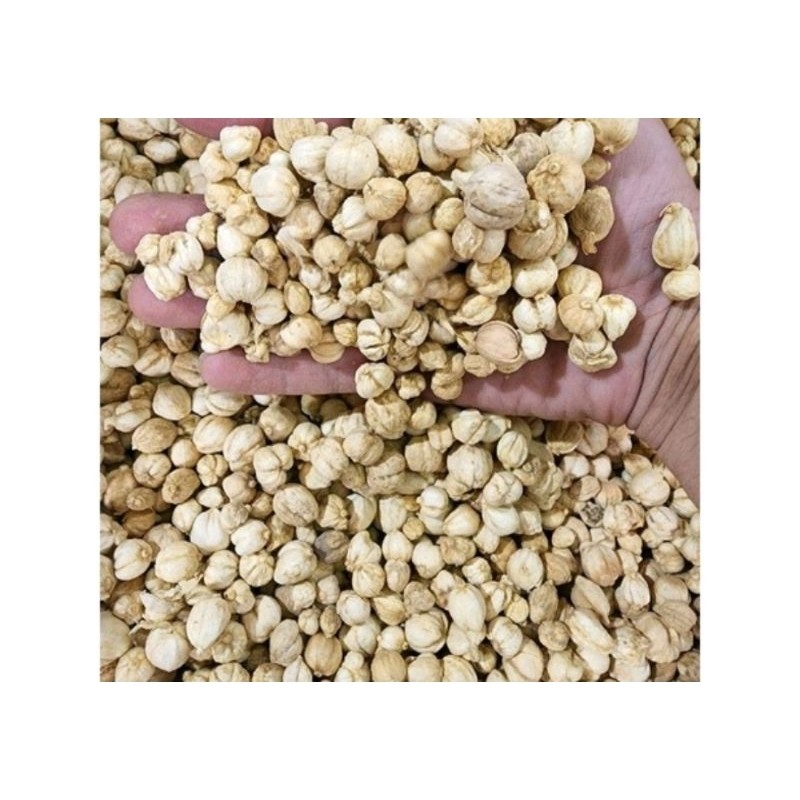 Kapulaga Lokal / Kapulaga Jawa 1Kg