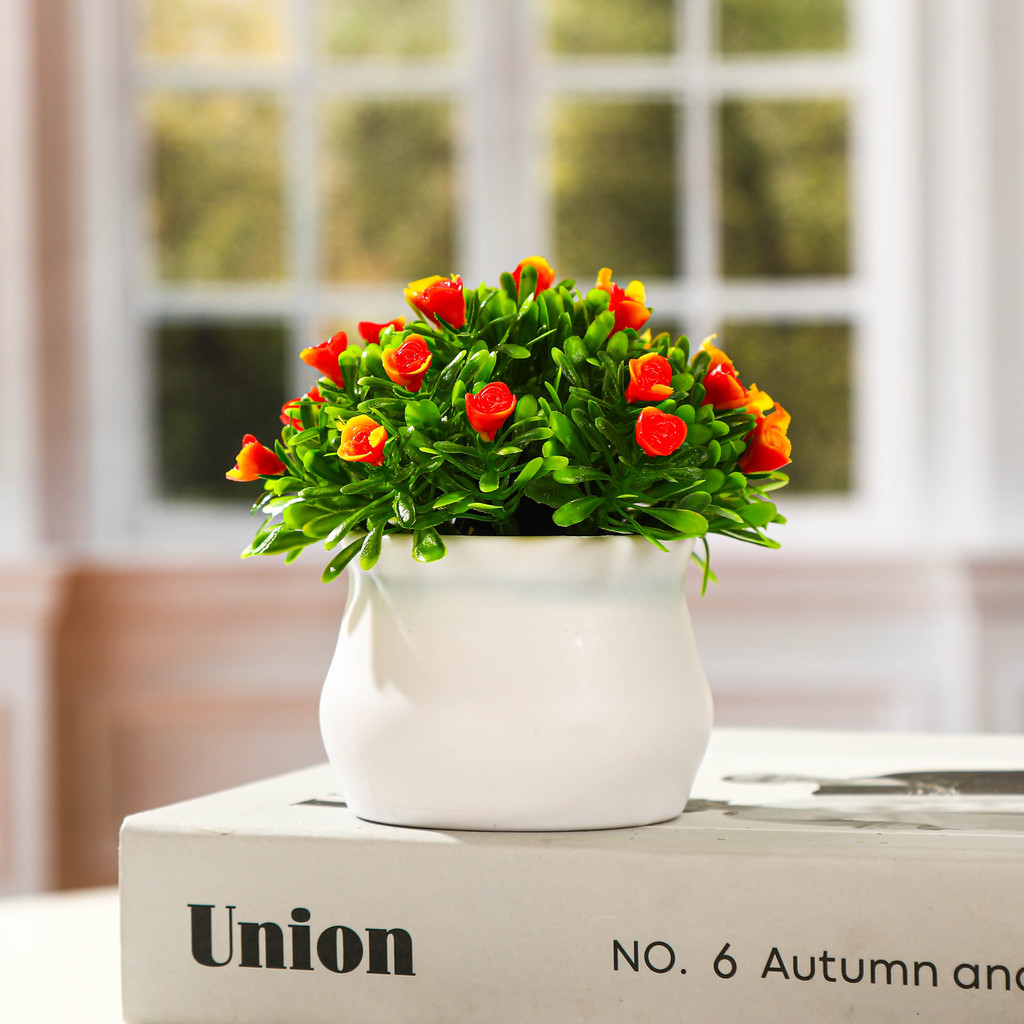 Pot Bunga Hias Plastik Tanaman Bonsai  Ornamen Dekorasi Rumah Bunga Mawar Kecil Setengah Bulat Padat