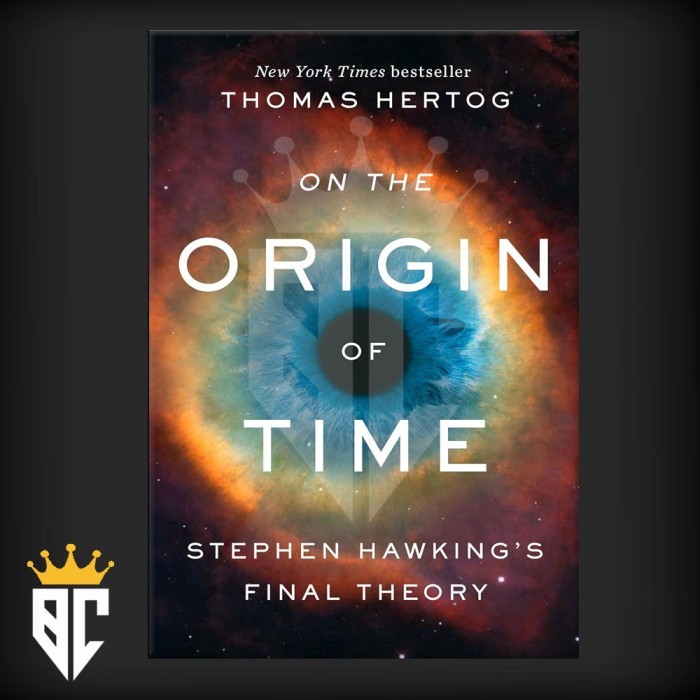 

On the Origin of Time: Stephen Hawking's Final Theory by Thomas Hertog (English)