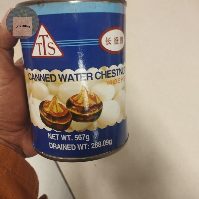 

tts canned water chestnut 567gr