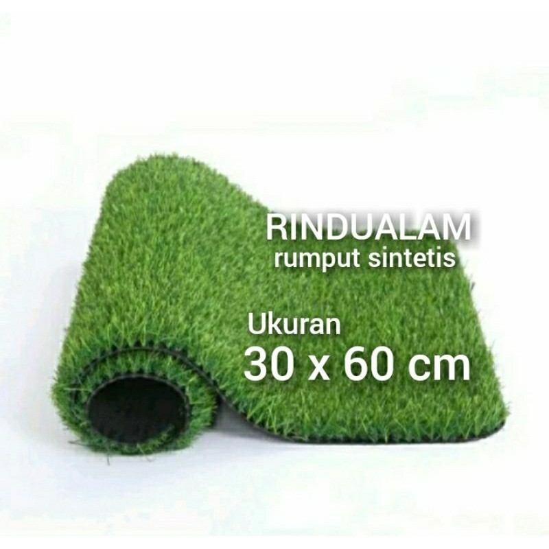 Rumput Sintetis Aquarium 60 x 30 cm