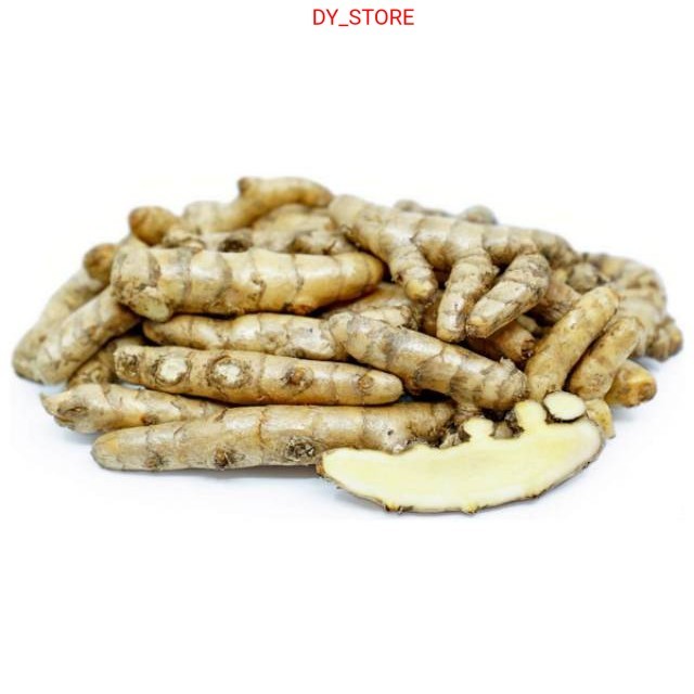 

HERBAL ALAMI Readyy Kunyit putih 250 gram basah segar temu kunir/ currcuma zedoria siap ambil Herbal