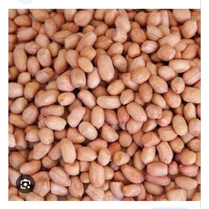 

KACANG TANAH 1kg - ABO