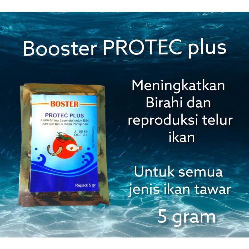 booster PROTEC plus vitamin birahi ikan dan telur