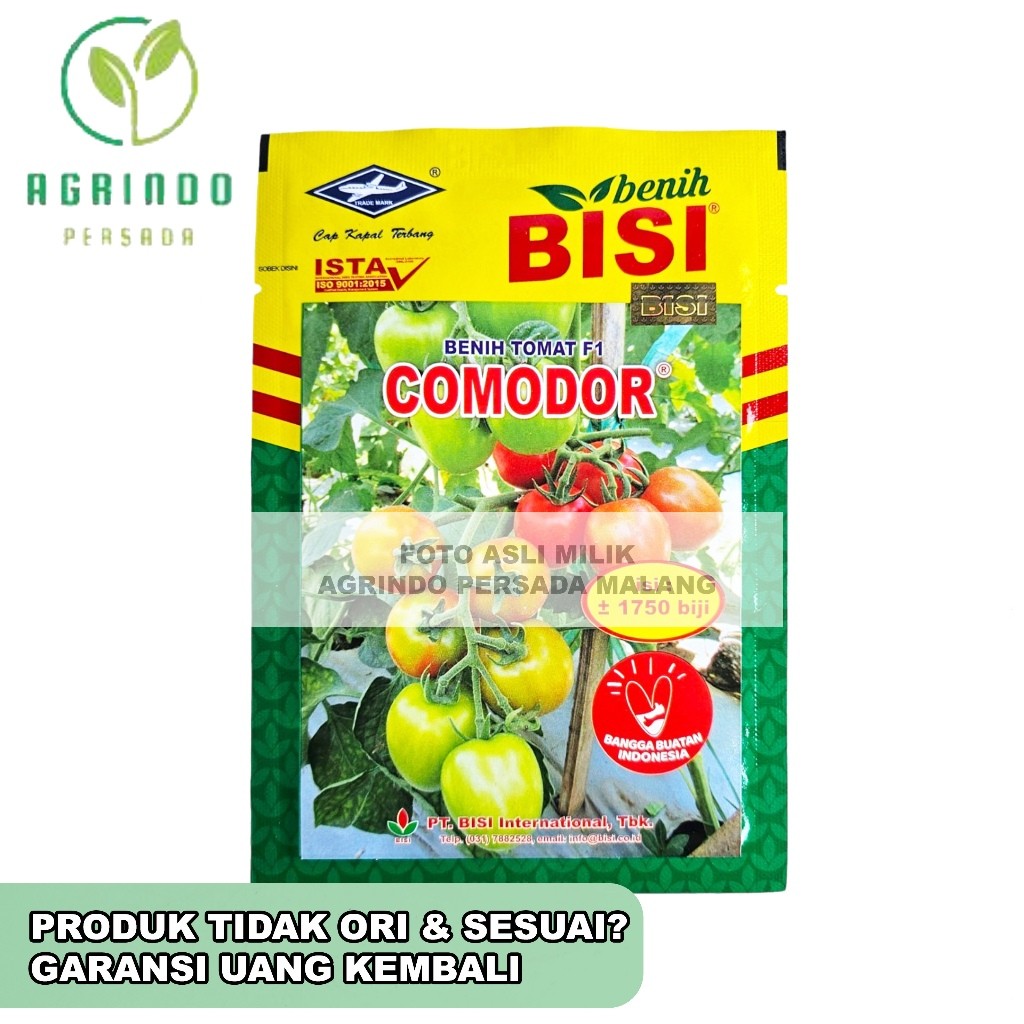 kj54rf Benih Tomat Comodor 5 gram | Benih Tomat Comodor Cap Kapal Terbang