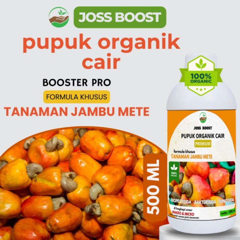 pupuk Booster Buah Jambu Mete 500ML / Pupuk Pelebat Tanaman Jambu Mete Pemacu Tumbuh Bunga dan Buah 