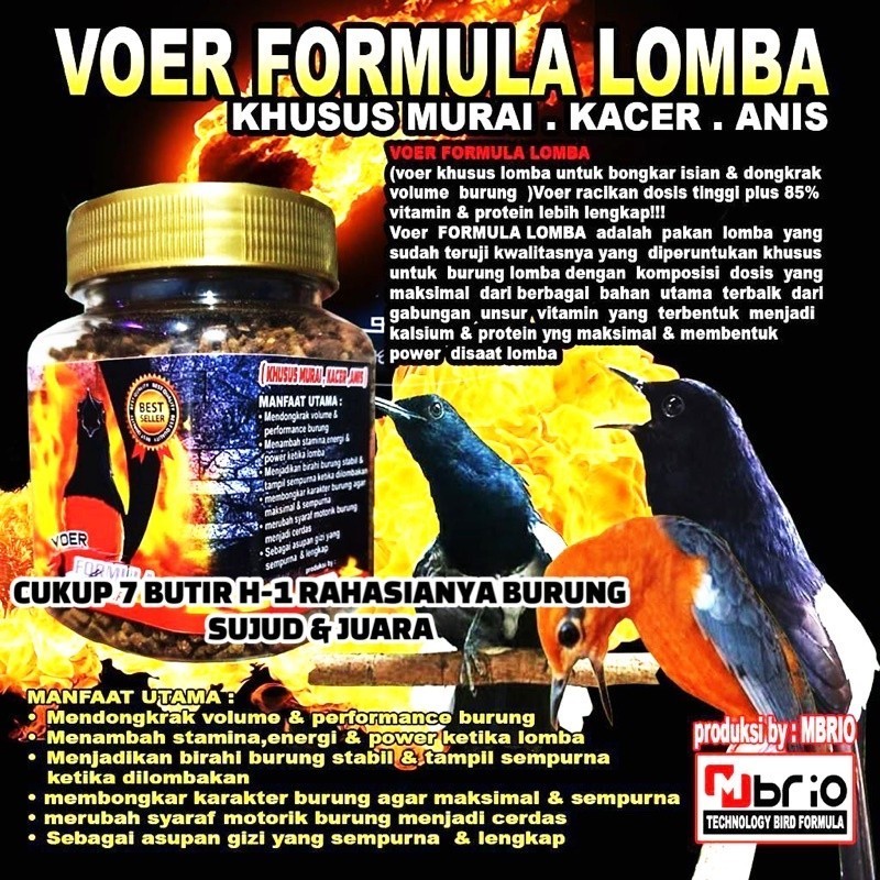Voer Formula Lomba 80g Pakan Lomba Super Racikan Terbaik Murai Kacer Anis Vitamin Protein Lengkap