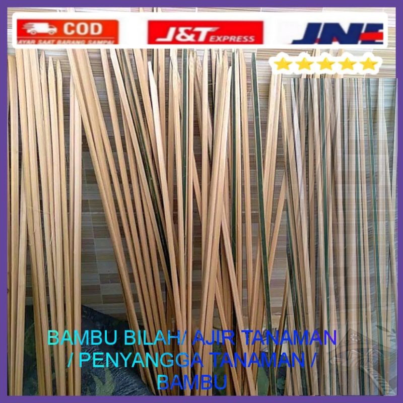 

BAMBU BILAH/ AJIR TANAMAN / PENYANGGA TANAMAN / BAMBU SIMPLE