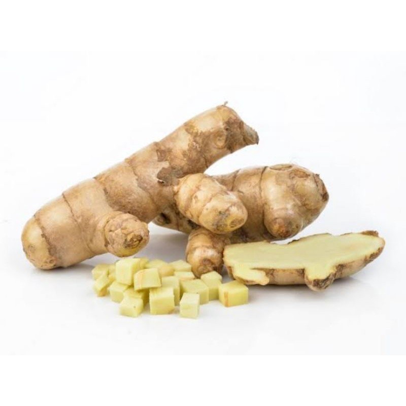 

Curcuma zedoaria 1 kg Kunyit putih segar