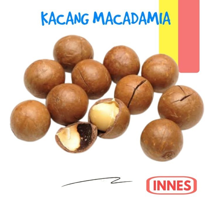 

[New] KACANG MACADAMIA PANGGANG 500 GR / MACADAMIA ROASTED