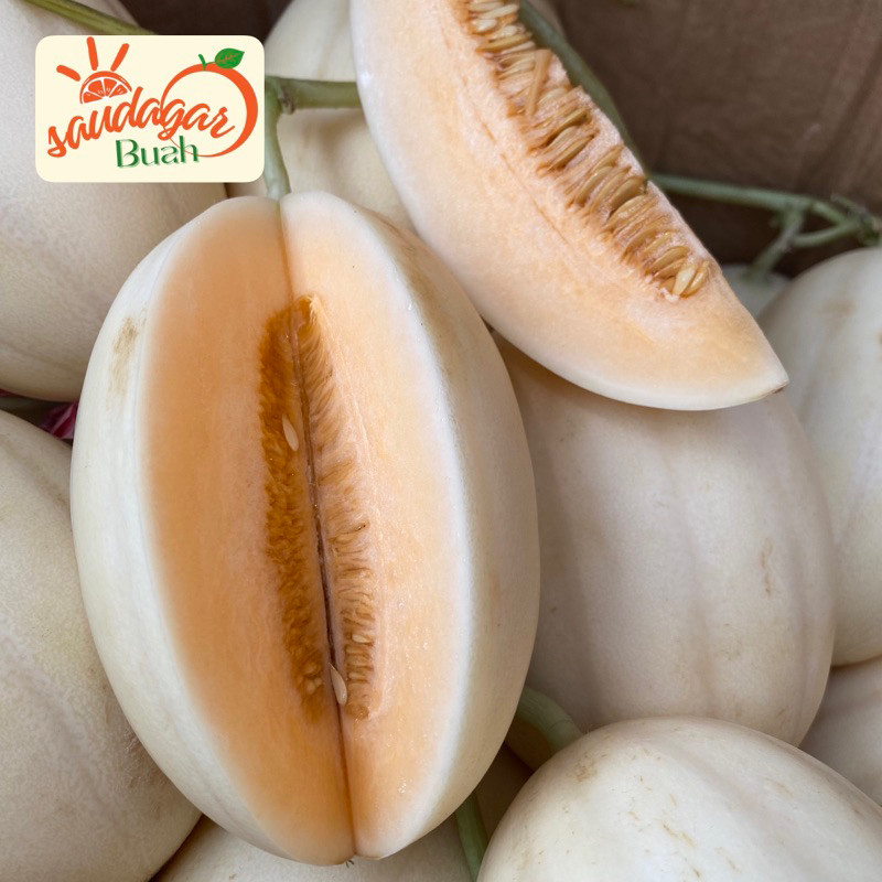 

BUAH MELON SWEET NET HIDROPONIK MANIS CRUNCHY ud buah tiga saudara