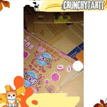 

READUY KARDUS UNTUK PACKING TAMBAHAN DVNS
