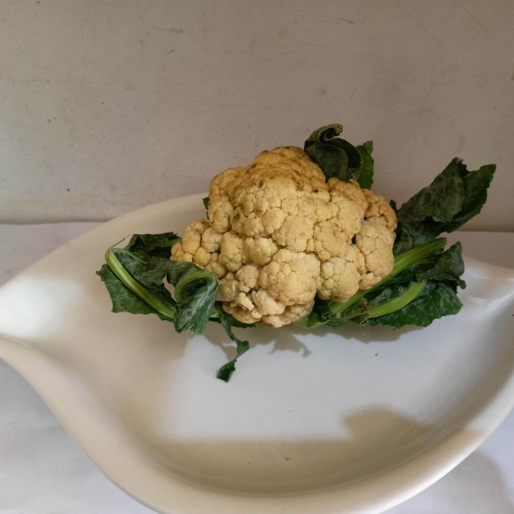 

Sayur Kembang kol segar siap pakai untuk segala kebutuhan memasak, tersedia dengan kemasan ekonomis dan terjangkau, isi per bongkol