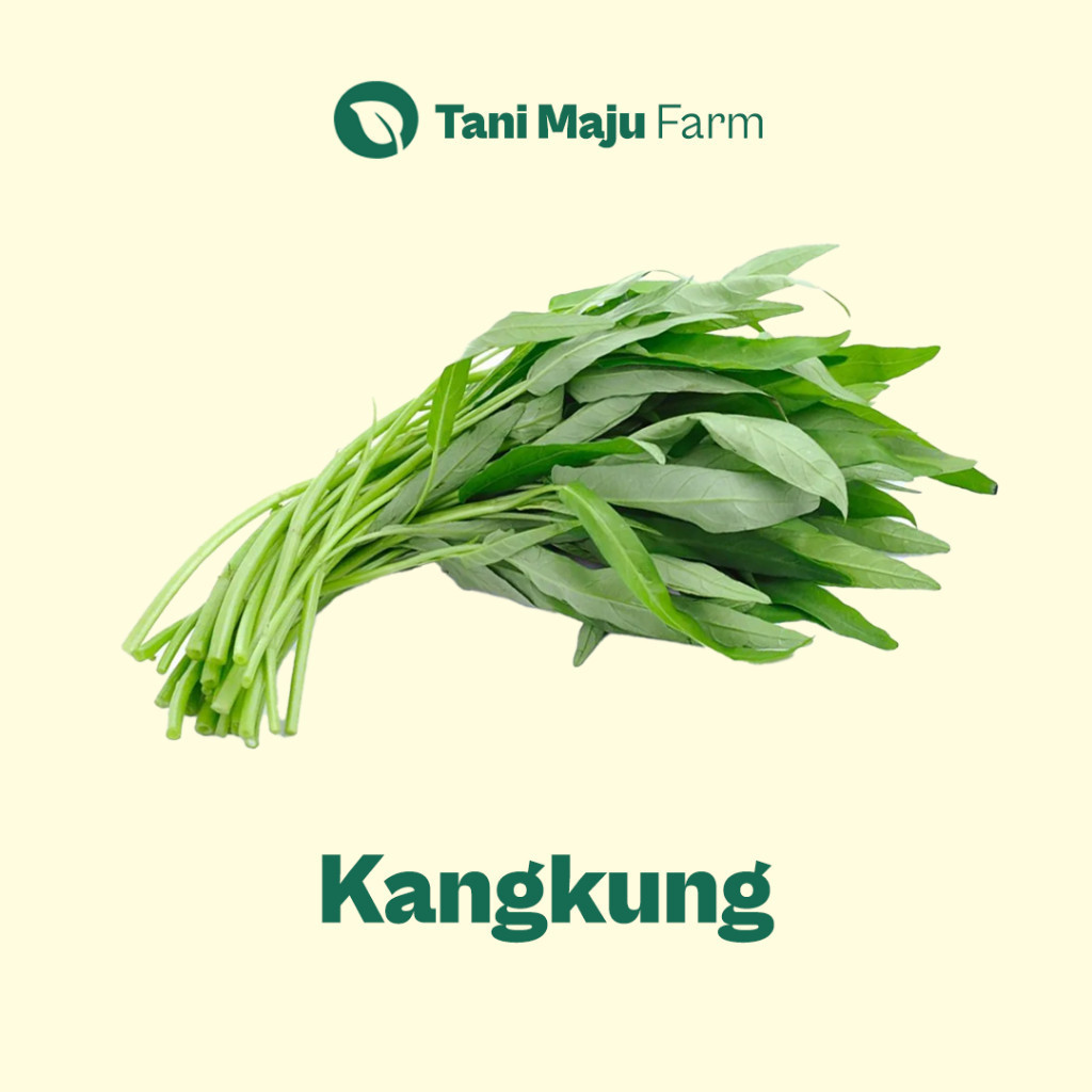 

Kangkung Fresh Organik (100 gram) - Sayuran BRKAH